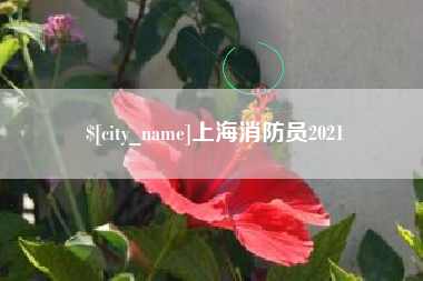 黑龙江上海消防员2021