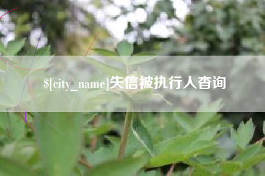黑龙江失信被执行人杳询