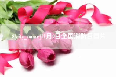 黑龙江11月9日全国消防日图片