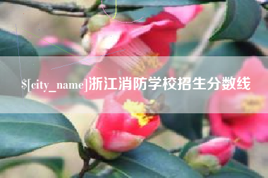 黑龙江浙江消防学校招生分数线