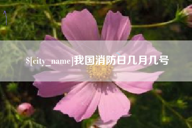 黑龙江我国消防日几月几号
