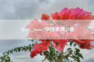 黑龙江中国金牌18金