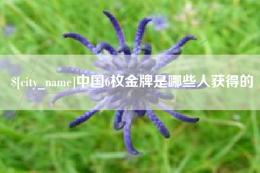 黑龙江中国6枚金牌是哪些人获得的