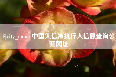 黑龙江中国失信被执行人信息查询公开网址