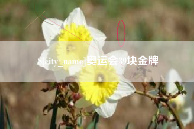 黑龙江奥运会39块金牌