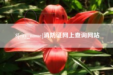 黑龙江消防证网上查询网站