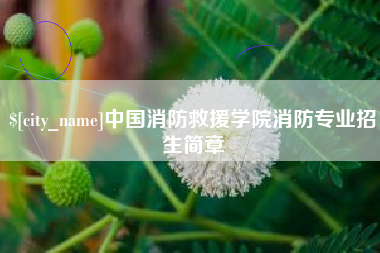 黑龙江中国消防救援学院消防专业招生简章