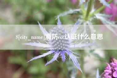 黑龙江消防ccc认证什么意思