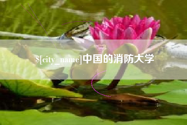 黑龙江中国的消防大学