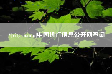 黑龙江中国执行信息公开网查询