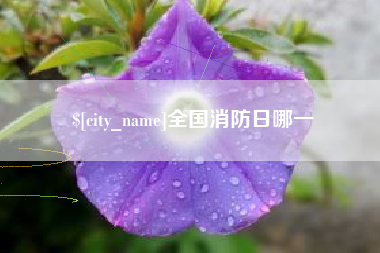黑龙江全国消防日哪一