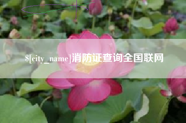 黑龙江消防证查询全国联网