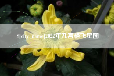 黑龙江2022年九宫格飞星图