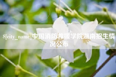 黑龙江中国消防救援学院湖南招生情况公布