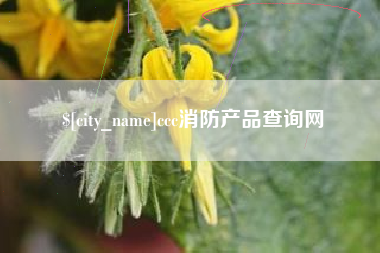 黑龙江ccc消防产品查询网