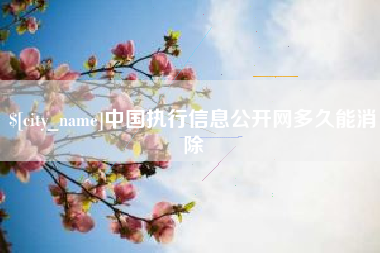 黑龙江中国执行信息公开网多久能消除