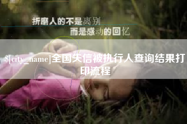 黑龙江全国失信被执行人查询结果打印流程