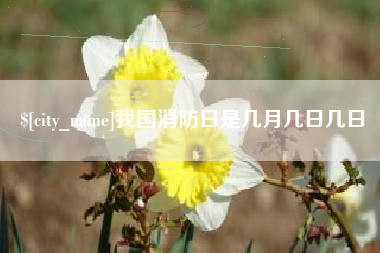 黑龙江我国消防日是几月几日几日