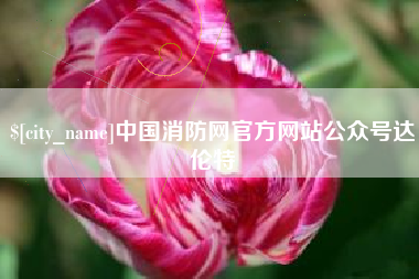 黑龙江中国消防网官方网站公众号达伦特