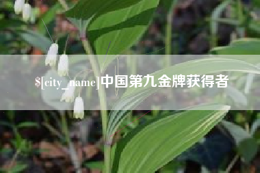 黑龙江中国第九金牌获得者