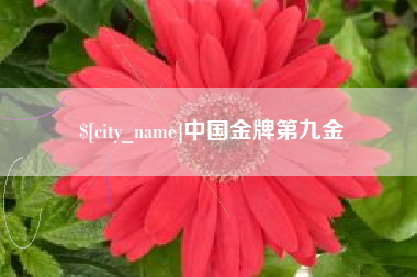 黑龙江中国金牌第九金