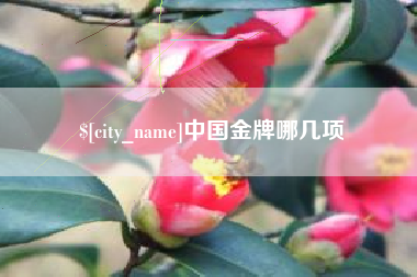 黑龙江中国金牌哪几项