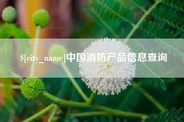 黑龙江中国消防产品信息查询