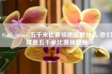 黑龙江五千米比赛领跑员是什么-他们就是五千米比赛领跑员