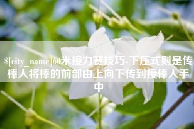 黑龙江60米接力赛技巧-下压式则是传棒人将棒的前部由上向下传到接棒人手中