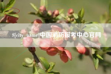 黑龙江中国消防报考中心官网