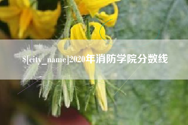 黑龙江2020年消防学院分数线