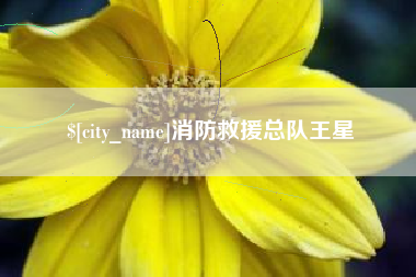 黑龙江消防救援总队王星