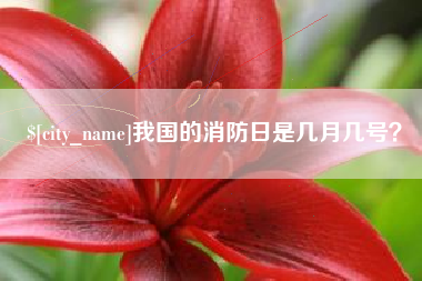 黑龙江我国的消防日是几月几号？