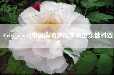 黑龙江中国消防救援学院山东选科要求