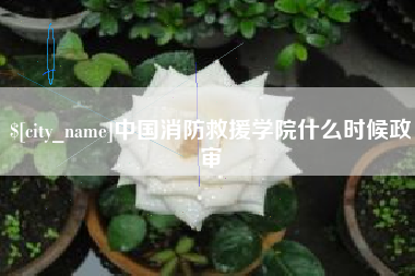 黑龙江中国消防救援学院什么时候政审