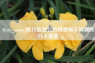 黑龙江执行信息公开网查询不到被执行人信息