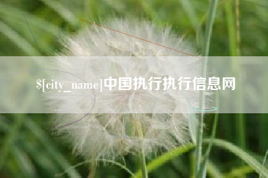 黑龙江中国执行执行信息网