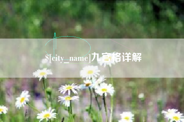 黑龙江九宫格详解