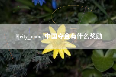 黑龙江中国夺金有什么奖励