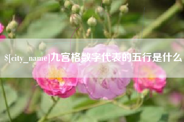 黑龙江九宫格数字代表的五行是什么