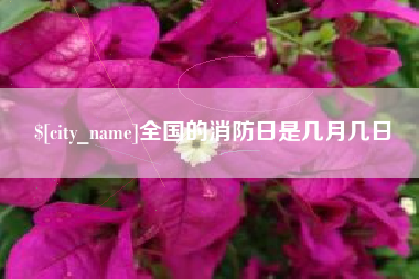 黑龙江全国的消防日是几月几日