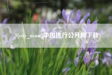 黑龙江中国执行公开网下载