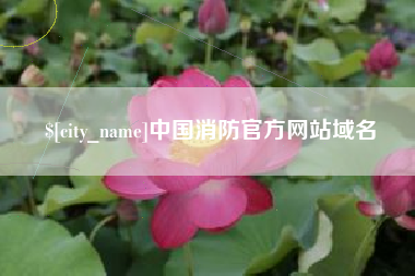 黑龙江中国消防官方网站域名