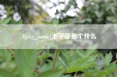 黑龙江王子豪是个什么