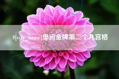 黑龙江奥运金牌第二个九宫格