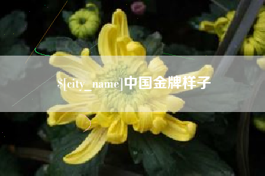 黑龙江中国金牌样子