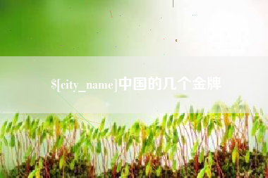 黑龙江中国的几个金牌
