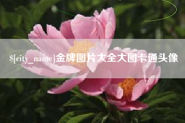 黑龙江金牌图片大全大图卡通头像