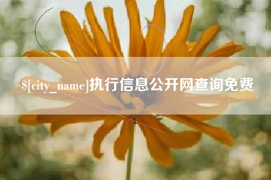 黑龙江执行信息公开网查询免费
