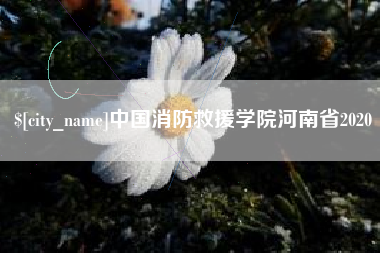 黑龙江中国消防救援学院河南省2020